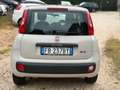 Fiat Panda Panda 1.3 MJT 95 CV S&S Easy Bianco - thumbnail 9