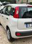 Fiat Panda Panda 1.3 MJT 95 CV S&S Easy Bianco - thumbnail 11