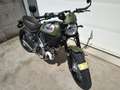 Ducati Scrambler Vert - thumbnail 2
