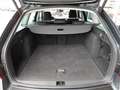 Skoda Octavia Combi 2,0 TDI Amb DSG * LED / NAVI / ACC / E-KL... Grau - thumbnail 10