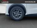 Lexus LBX *Basis*1.5*KOMFORT-PAK.* SHZ*PDC*15J-GARANTIE* Weiß - thumbnail 15