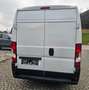 Fiat Ducato 120 L4H2 RS: 4035 mm Weiß - thumbnail 6