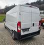 Fiat Ducato 120 L4H2 RS: 4035 mm Weiß - thumbnail 7
