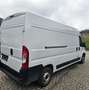 Fiat Ducato 120 L4H2 RS: 4035 mm Weiß - thumbnail 5