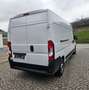 Fiat Ducato 120 L4H2 RS: 4035 mm Weiß - thumbnail 8