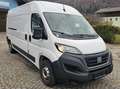 Fiat Ducato 120 L4H2 RS: 4035 mm Weiß - thumbnail 2