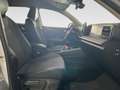 Volkswagen Tiguan 2.0TDI Más DSG 110kW Gris - thumbnail 5