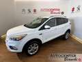 Ford Kuga 2.0 tdci Titanium s&s awd 150cv powershift Wit - thumbnail 1