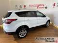 Ford Kuga 2.0 tdci Titanium s&s awd 150cv powershift Wit - thumbnail 2