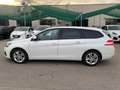 Peugeot 308 BlueHDi 130 S&S SW Business Bianco - thumbnail 2