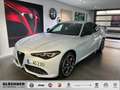 Alfa Romeo Giulia Veloce 2.0l Q4 Perla Lunare Weiß - thumbnail 1