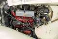 MG TD Cabriolet | 1953 Wit - thumbnail 19