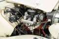 MG TD Cabriolet | 1953 Wit - thumbnail 2