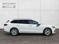 Skoda Superb Combi 1.5 TSI mHEV HUD AHK DigiCock Kamera Massage Weiß - thumbnail 8