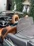 Peugeot 206 CC 135 Roland Garros *Harttopcabrio* Zielony - thumbnail 13