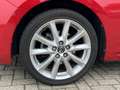 Mazda 3 2.0 120pk Skylease GT, trekhaak Rojo - thumbnail 5