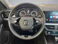 Skoda Kamiq 1,0 TSI DSG AHK Grau - thumbnail 10