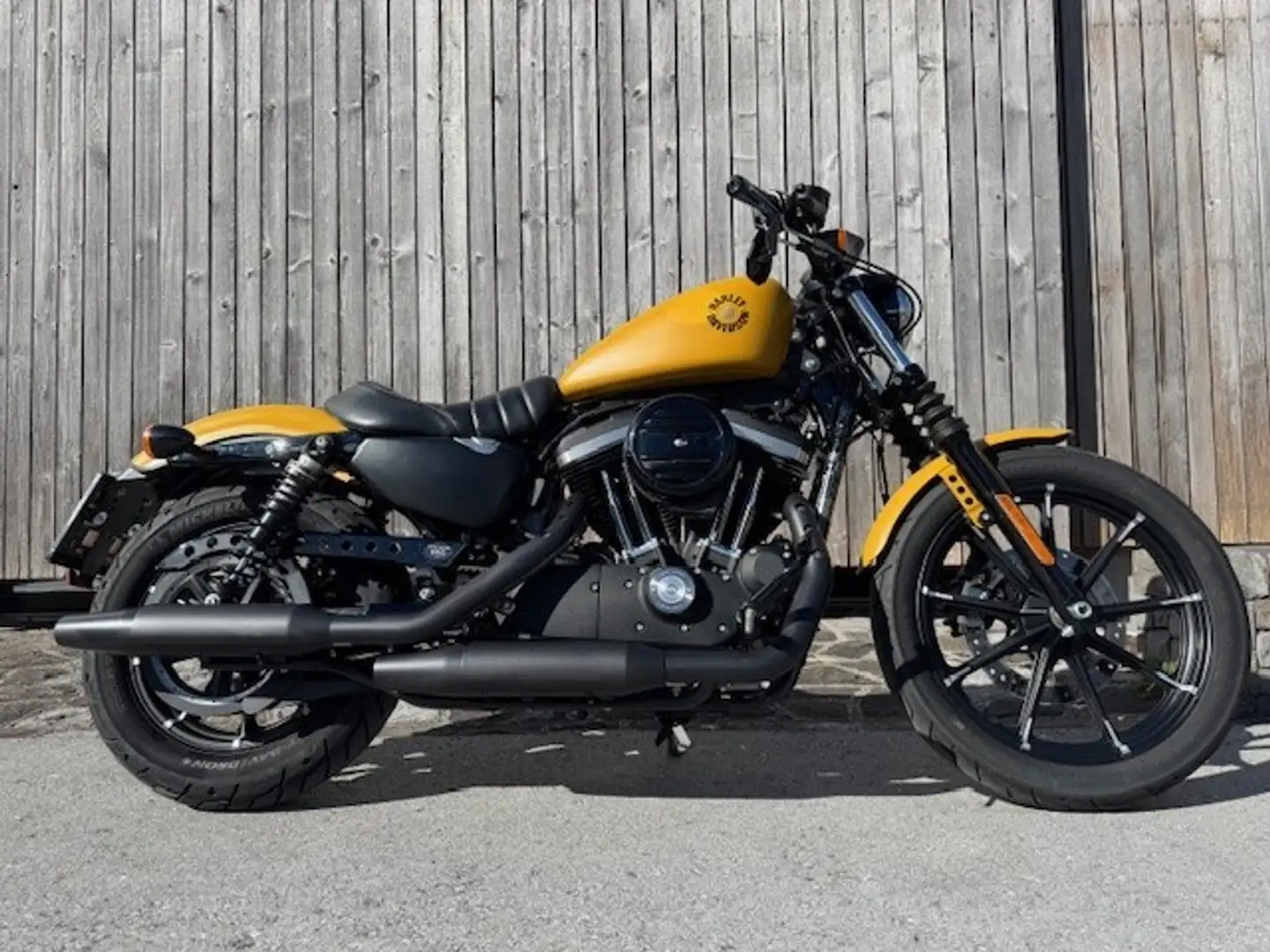 Harley-Davidson XL 883 XL 883 N Sportster Iron - 1