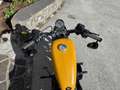 Harley-Davidson XL 883 XL 883 N Sportster Iron - thumbnail 7