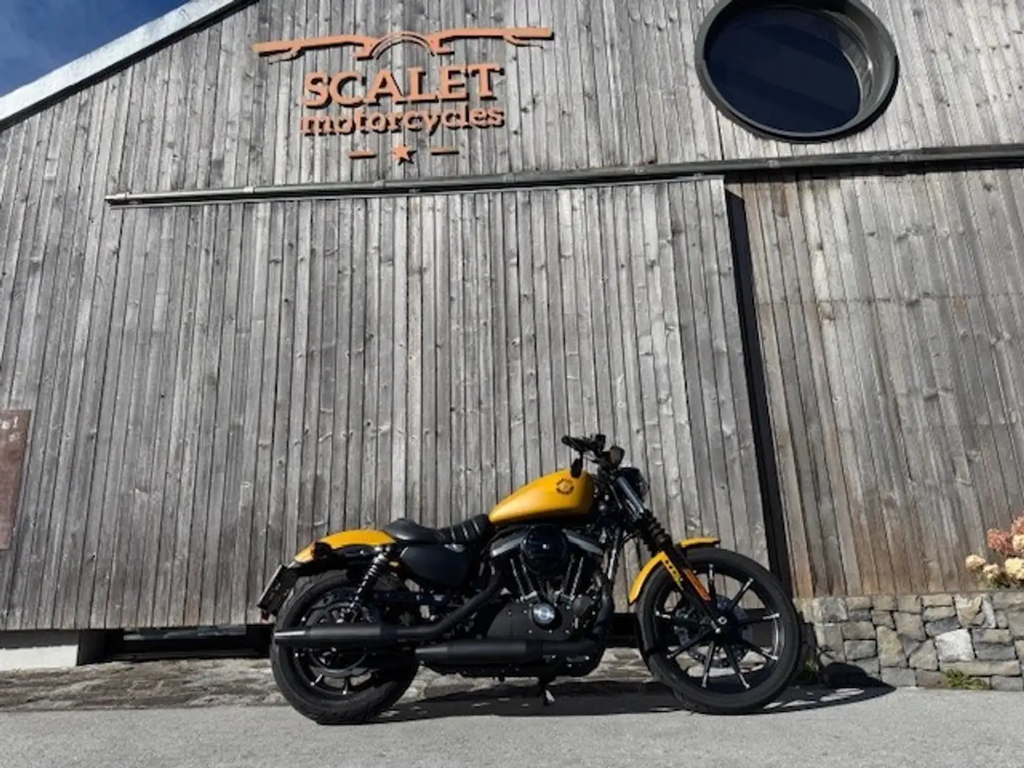 Harley-Davidson XL 883 XL 883 N Sportster Iron - 2