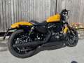 Harley-Davidson XL 883 XL 883 N Sportster Iron - thumbnail 5
