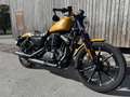 Harley-Davidson XL 883 XL 883 N Sportster Iron - thumbnail 4