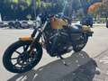 Harley-Davidson XL 883 XL 883 N Sportster Iron - thumbnail 9