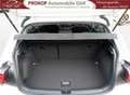 Volkswagen Polo Life AAC PDC GRA Nav LED Kessy Pano Beats VC-Pro Weiß - thumbnail 13
