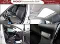 Volkswagen Polo Life AAC PDC GRA Nav LED Kessy Pano Beats VC-Pro Weiß - thumbnail 18