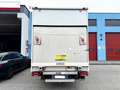 Iveco Daily 35c16 con sponda Dhollandia Blanco - thumbnail 4