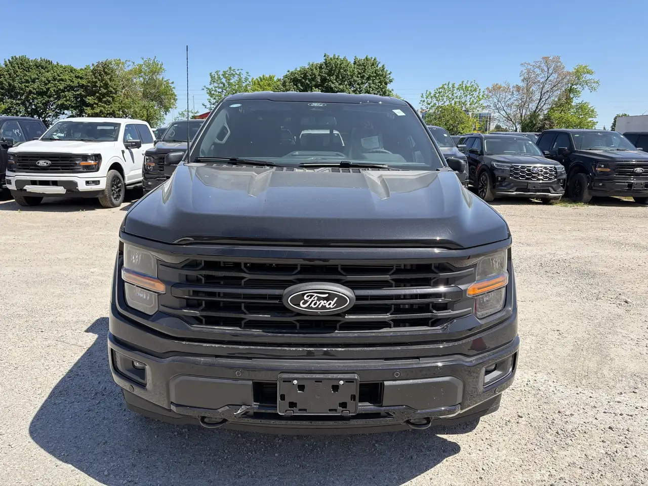 Ford F 150 снимка Ford F 150