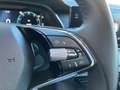Skoda Octavia Ambition TDI Grau - thumbnail 13