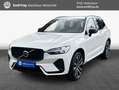 Volvo XC60 XC60 B4 B Geartronic RDesign Weiß - thumbnail 1
