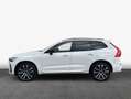 Volvo XC60 XC60 B4 B Geartronic RDesign Weiß - thumbnail 4