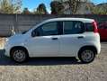 Fiat Panda Panda III 1.2 Pop s Bianco - thumbnail 4