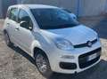 Fiat Panda Panda III 1.2 Pop s Bianco - thumbnail 1
