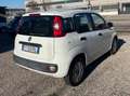 Fiat Panda Panda III 1.2 Pop s Bianco - thumbnail 7