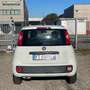 Fiat Panda Panda III 1.2 Pop s Bianco - thumbnail 6