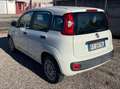 Fiat Panda Panda III 1.2 Pop s Bianco - thumbnail 5