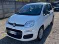 Fiat Panda Panda III 1.2 Pop s Bianco - thumbnail 3
