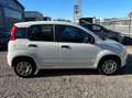 Fiat Panda Panda III 1.2 Pop s Bianco - thumbnail 8