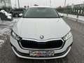 Skoda Octavia Combi 2,0 TDI Style DSG/RFK/SHZ/SHA/ACC/MATRIX-... Weiß - thumbnail 10