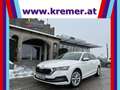 Skoda Octavia Combi 2,0 TDI Style DSG/RFK/SHZ/SHA/ACC/MATRIX-... Weiß - thumbnail 1