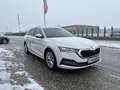 Skoda Octavia Combi 2,0 TDI Style DSG/RFK/SHZ/SHA/ACC/MATRIX-... Weiß - thumbnail 4