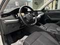 Skoda Octavia Combi 2,0 TDI Style DSG/RFK/SHZ/SHA/ACC/MATRIX-... Weiß - thumbnail 23