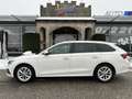 Skoda Octavia Combi 2,0 TDI Style DSG/RFK/SHZ/SHA/ACC/MATRIX-... Weiß - thumbnail 5