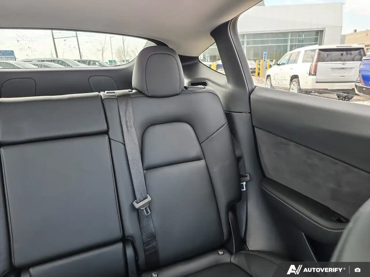 Tesla Model Y photo Tesla Model Y