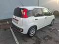 Fiat Panda Easy 1 HAND TÜV 07 2027 INSPEKTION NEU Weiß - thumbnail 15
