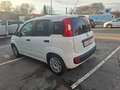Fiat Panda Easy 1 HAND TÜV 07 2027 INSPEKTION NEU Weiß - thumbnail 11