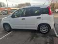 Fiat Panda Easy 1 HAND TÜV 07 2027 INSPEKTION NEU Weiß - thumbnail 21